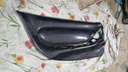 Carbon Door Pannels